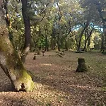 Antica Casa Scano *