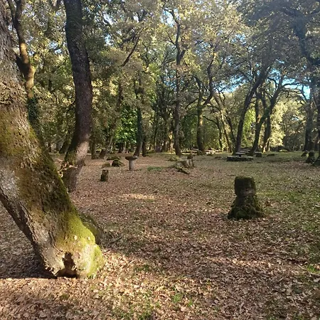 Antica Casa Scano *